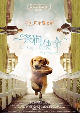 成人区精品一区二区