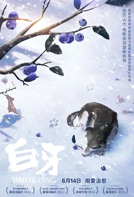 久久精品免费观看