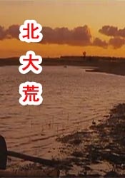 午夜一级影院